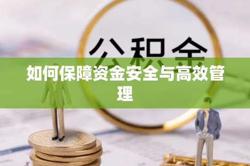 扎囊如何保障资金安全与高效管理
