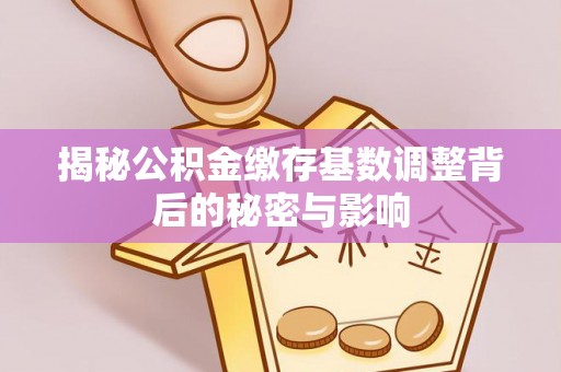 扎囊揭秘公积金缴存基数调整背后的秘密与影响