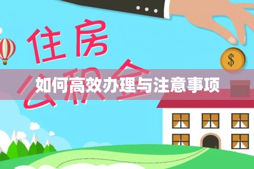 扎囊如何高效办理与注意事项