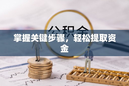 扎囊掌握关键步骤，轻松提取资金