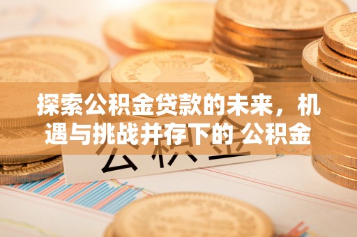 扎囊探索公积金贷款的未来，机遇与挑战并存下的 公积金贷款风险防控