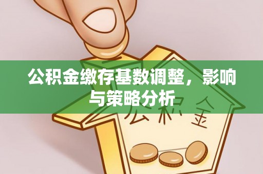 扎囊公积金缴存基数调整，影响与策略分析
