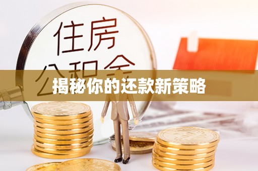 扎囊揭秘你的还款新策略