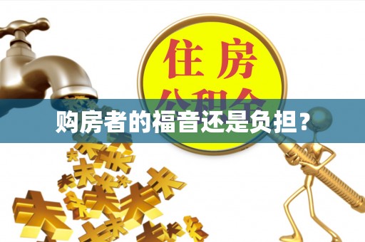 扎囊购房者的福音还是负担？