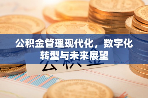 扎囊公积金管理现代化，数字化转型与未来展望