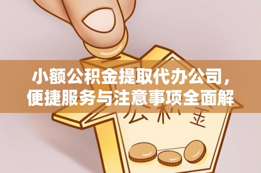 扎囊小额公积金提取代办公司，便捷服务与注意事项全面解析