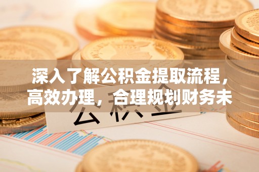 扎囊深入了解公积金提取流程，高效办理，合理规划财务未来