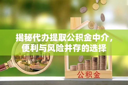扎囊揭秘代办提取公积金中介，便利与风险并存的选择