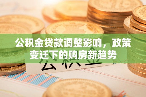 扎囊公积金贷款调整影响，政策变迁下的购房新趋势