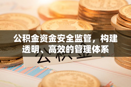 扎囊公积金资金安全监管，构建透明、高效的管理体系