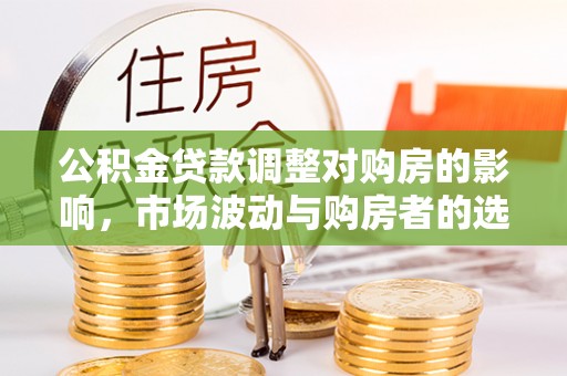 扎囊公积金贷款调整对购房的影响，市场波动与购房者的选择
