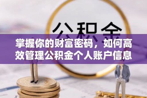 扎囊掌握你的财富密码，如何高效管理公积金个人账户信息