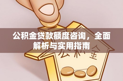 扎囊公积金贷款额度咨询，全面解析与实用指南