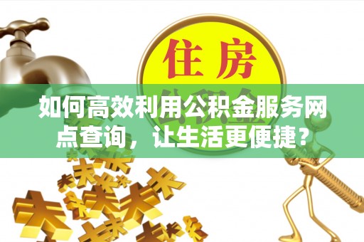 扎囊如何高效利用公积金服务网点查询，让生活更便捷？