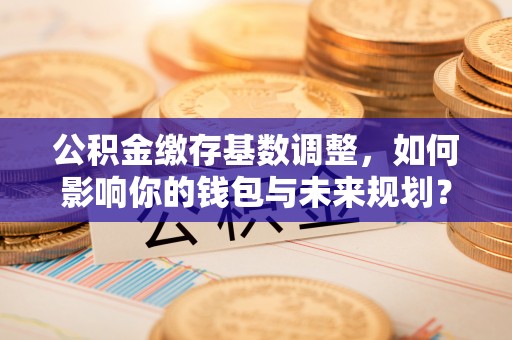 扎囊公积金缴存基数调整，如何影响你的钱包与未来规划？
