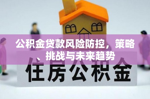扎囊公积金贷款风险防控，策略、挑战与未来趋势