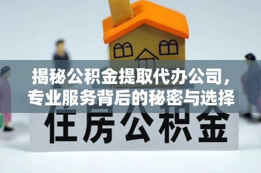 扎囊揭秘公积金提取代办公司，专业服务背后的秘密与选择指南