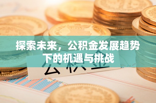 扎囊探索未来，公积金发展趋势下的机遇与挑战