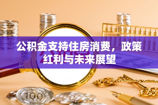 扎囊公积金支持住房消费，政策红利与未来展望