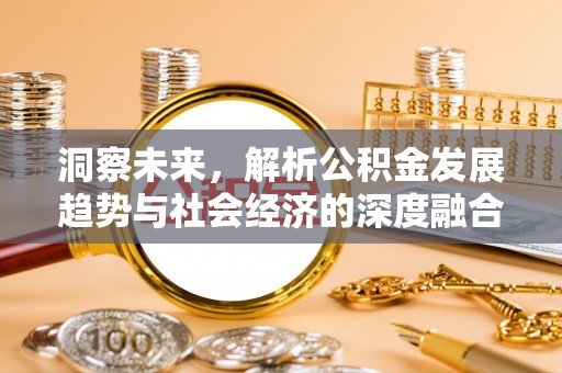 扎囊洞察未来，解析公积金发展趋势与社会经济的深度融合