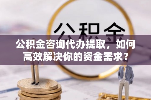 扎囊公积金咨询代办提取，如何高效解决你的资金需求？