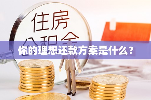 扎囊你的理想还款方案是什么？