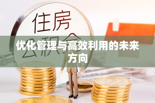 扎囊优化管理与高效利用的未来方向