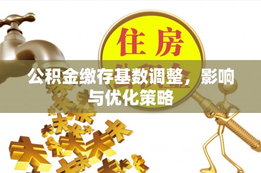 扎囊公积金缴存基数调整，影响与优化策略
