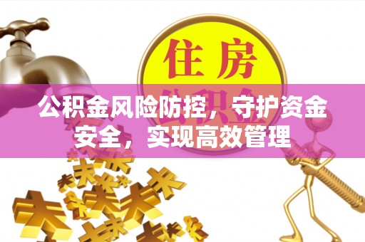 扎囊公积金风险防控，守护资金安全，实现高效管理