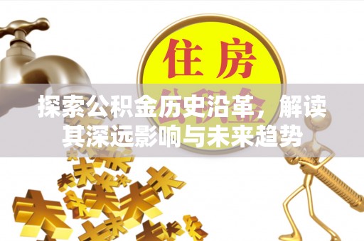 扎囊探索公积金历史沿革，解读其深远影响与未来趋势