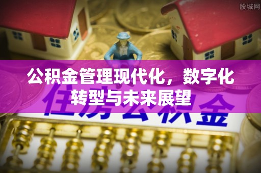 扎囊公积金管理现代化，数字化转型与未来展望