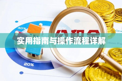 扎囊实用指南与操作流程详解