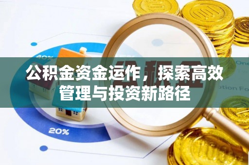 扎囊公积金资金运作，探索高效管理与投资新路径