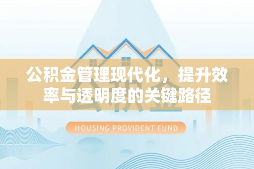扎囊公积金管理现代化，提升效率与透明度的关键路径