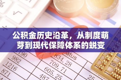 扎囊公积金历史沿革，从制度萌芽到现代保障体系的蜕变