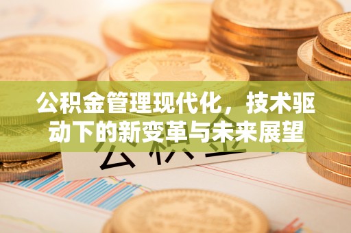扎囊公积金管理现代化，技术驱动下的新变革与未来展望