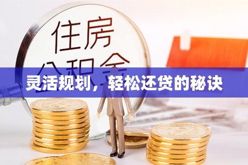 扎囊灵活规划，轻松还贷的秘诀