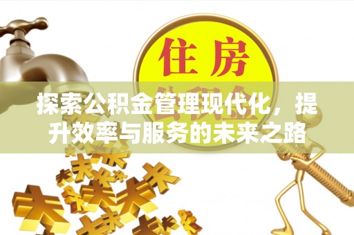 扎囊探索公积金管理现代化，提升效率与服务的未来之路