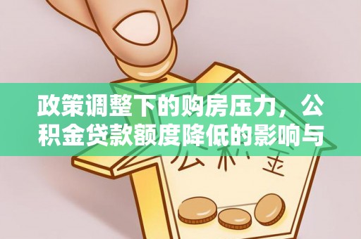 扎囊政策调整下的购房压力，公积金贷款额度降低的影响与应对策略