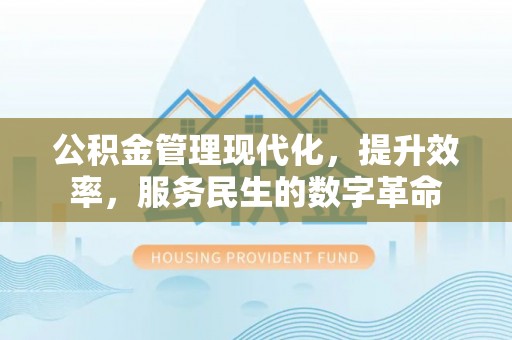 扎囊公积金管理现代化，提升效率，服务民生的数字革命