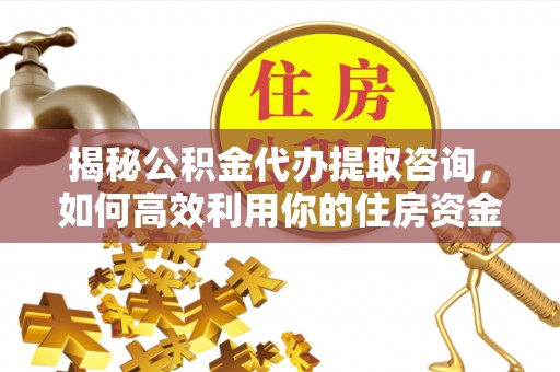 扎囊揭秘公积金代办提取咨询，如何高效利用你的住房资金