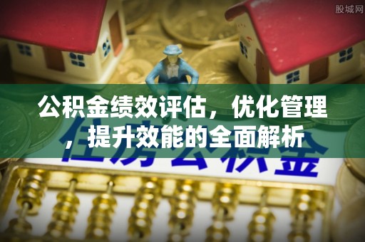 扎囊公积金绩效评估，优化管理，提升效能的全面解析