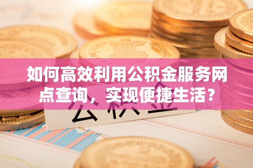 扎囊如何高效利用公积金服务网点查询，实现便捷生活？