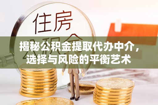 扎囊揭秘公积金提取代办中介，选择与风险的平衡艺术