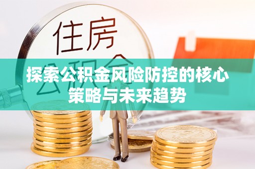 扎囊探索公积金风险防控的核心策略与未来趋势