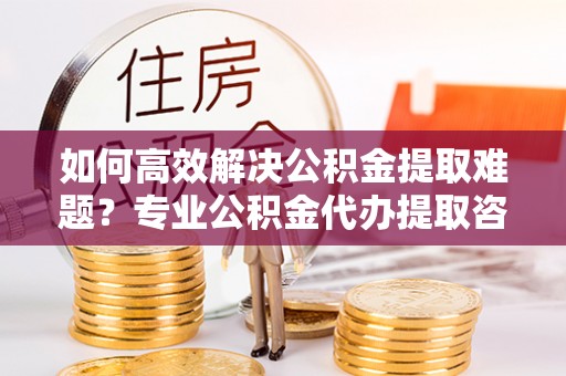 扎囊如何高效解决公积金提取难题？专业公积金代办提取咨询服务来助力