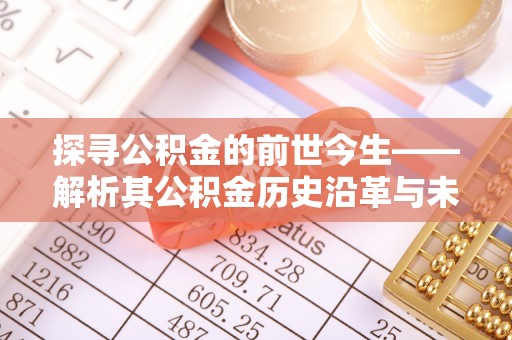 扎囊探寻公积金的前世今生——解析其公积金历史沿革与未来方向