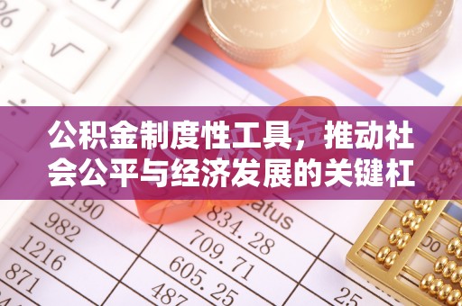 扎囊公积金制度性工具，推动社会公平与经济发展的关键杠杆