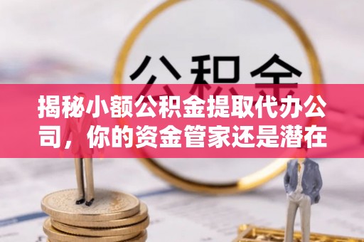 扎囊揭秘小额公积金提取代办公司，你的资金管家还是潜在陷阱？
