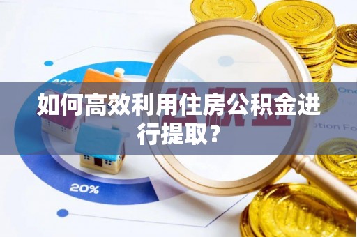扎囊如何高效利用住房公积金进行提取？